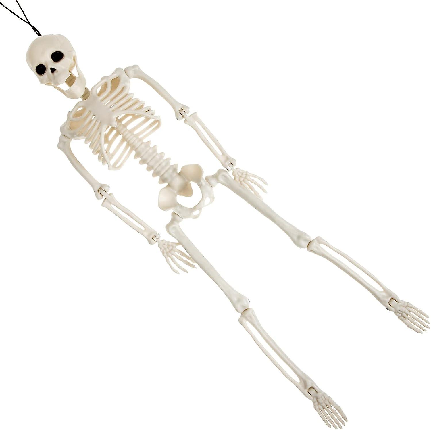 Syhgzxs Squelette dHalloween faux crâne effrayant réaliste os complets modèle squelette accessoires