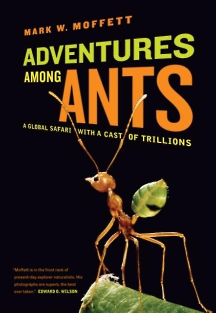 Adventures Among Ants by Mark W. Moffett Paperback Book