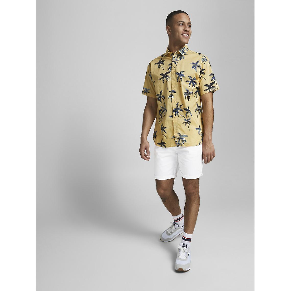 Zane Shorts för män