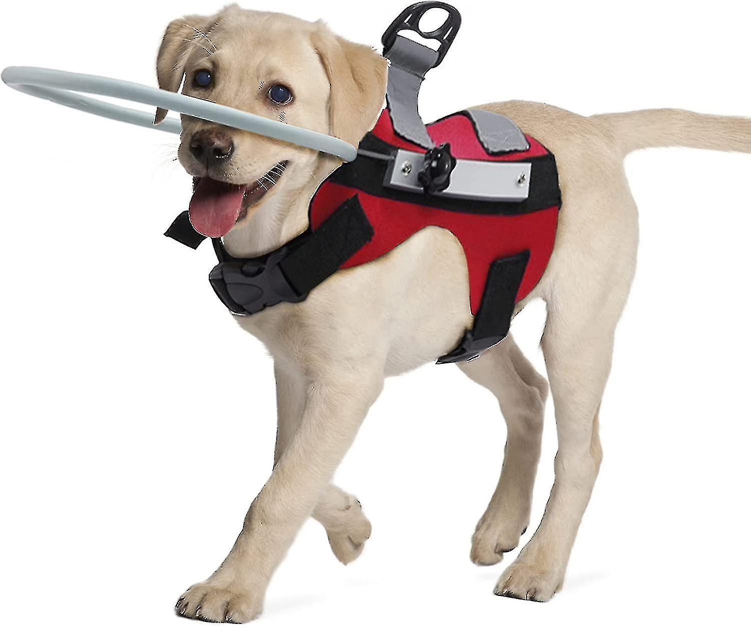 Blind Dog Harness Guiding Device,blind Dog Halo,pet Anti-collision Ring To Protect Cats And Dogs With Blindness, Blurred Vision