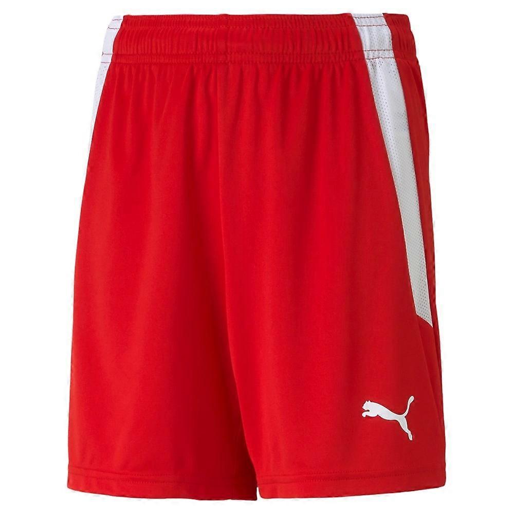 Trousers Puma Teamliga 70493101