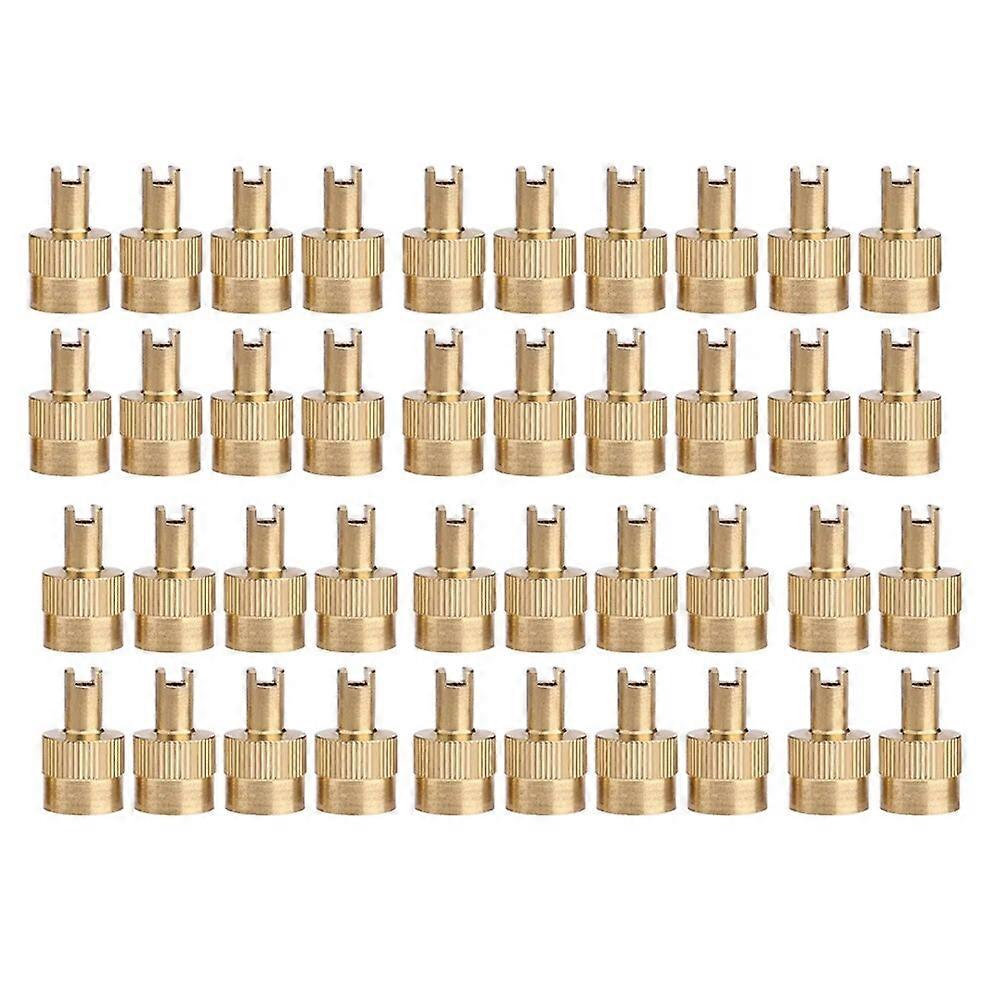 40-8PCS Tire Valve Stem Cap Full Copper Slotted Head Stem Cover with Core Removal Tool Wheel Valve Covers for Auto Motorcycle-Motor Vehicle Wheel Part