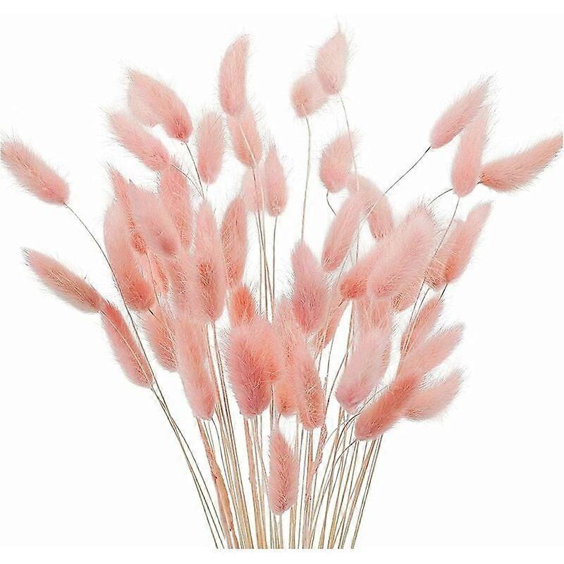 Boho Fluffy Eternal Rabbit Tail Grass