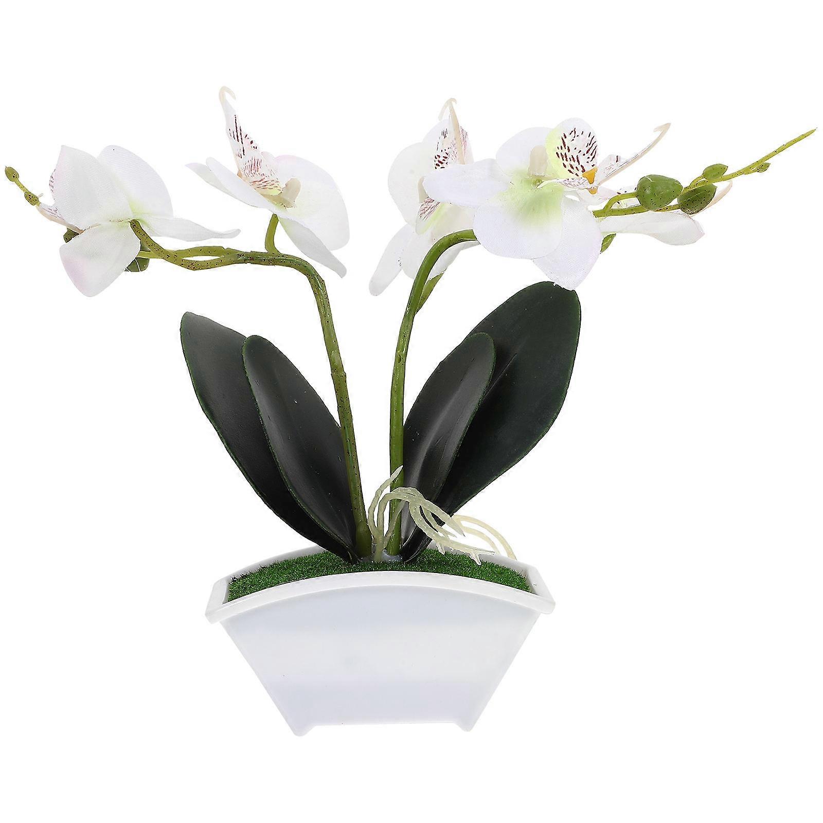Potted Flower Pot Faux Potted Orchids For Table Decor Plastic 27.00X22.00X5.50CM Decorative 1Pcs