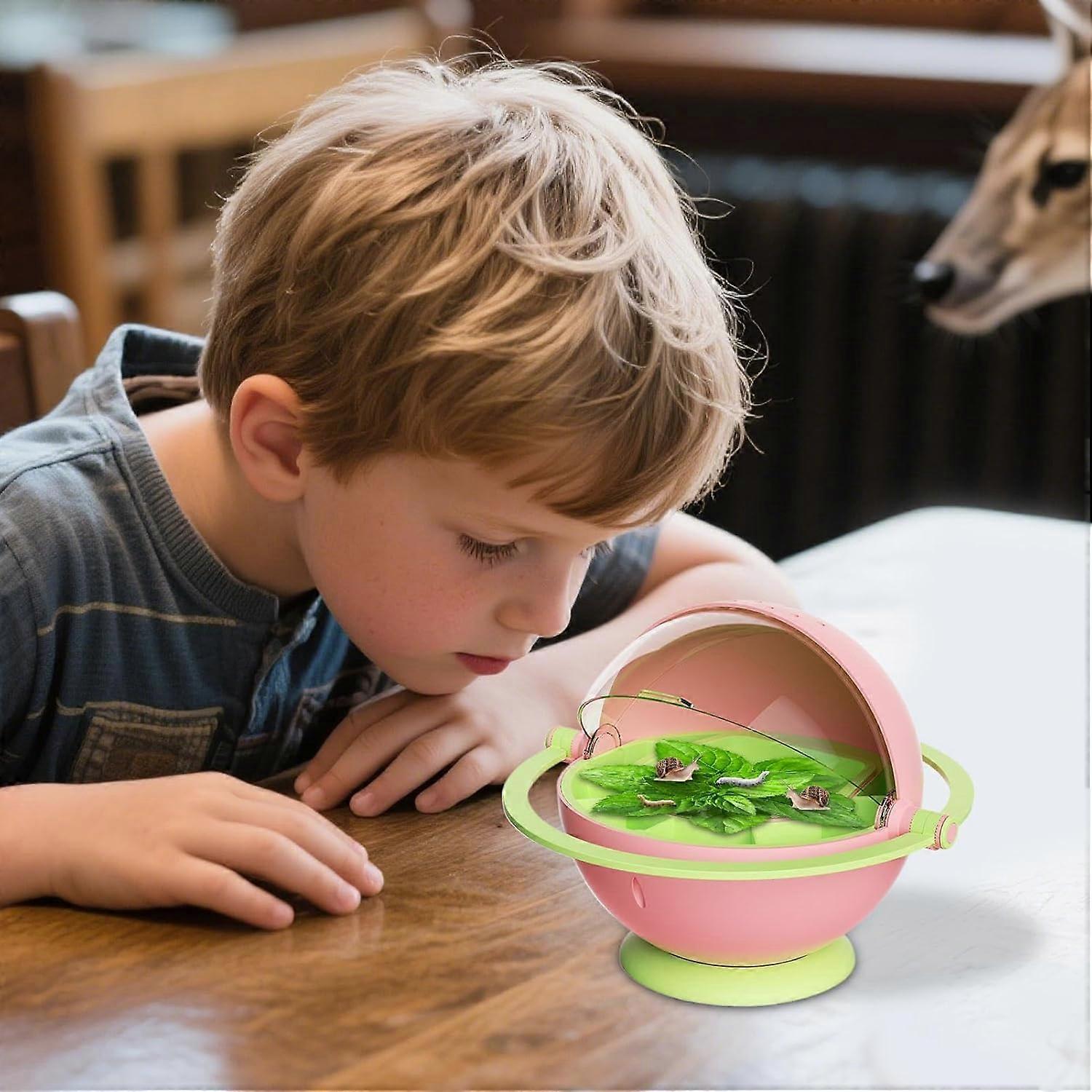 Seidenraupen Zuchtbox - Transparenter Lebensraumkäfig 20x21x17cm