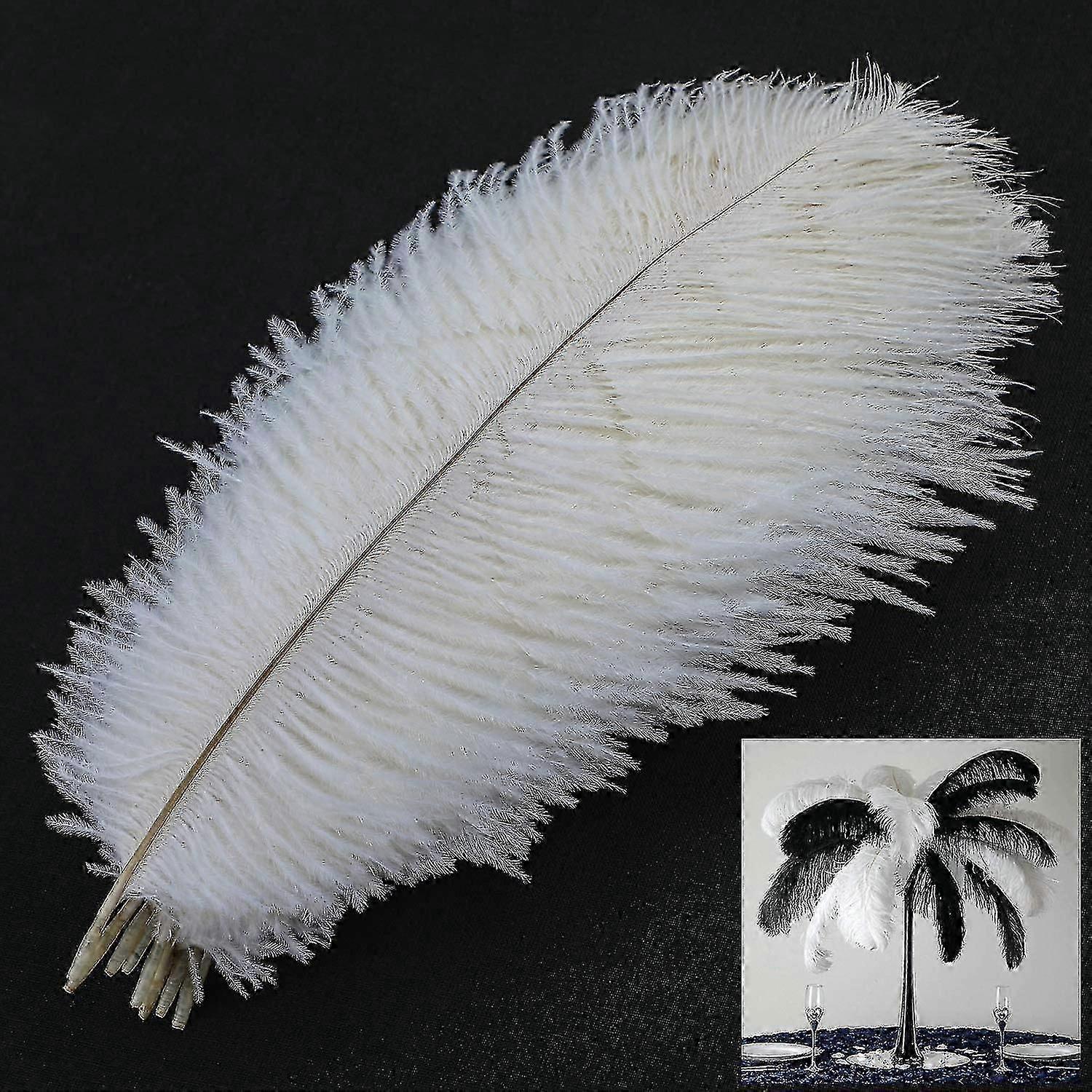 10 قطع ريش النعام الطبيعي ، ريش النعام عمود 25-30cm (أبيض)