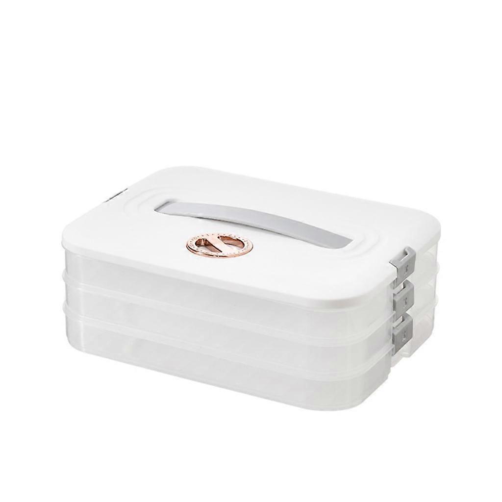 Multi Layer Cookie Carrier with Lid and Handle Time Recoder Dumplings Storage Box Food Dessert Clear Container