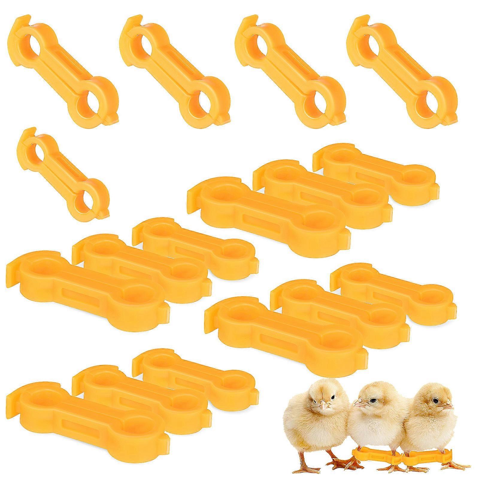 12 قطعة مثبت الساق الفرخ الطيور الصغيرة لعبة تصحيح الساق الفرقة حديثي الولادة دجاجة الساق Hobble دعامة دعم دعم ساق الطيور
