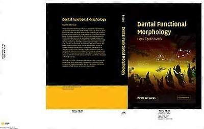 Dental Functional Morphology