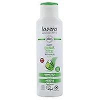 Balances and Refreshes Shampoo 250 ml