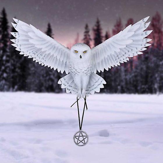 Awaken Your Magic Wise Owl Wall Plaque