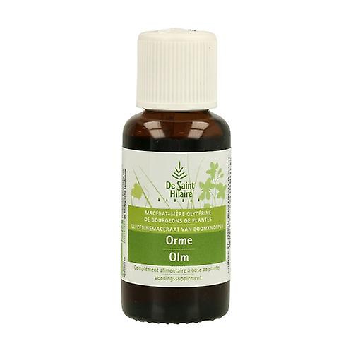 Organic Elm Macerate 30 ml