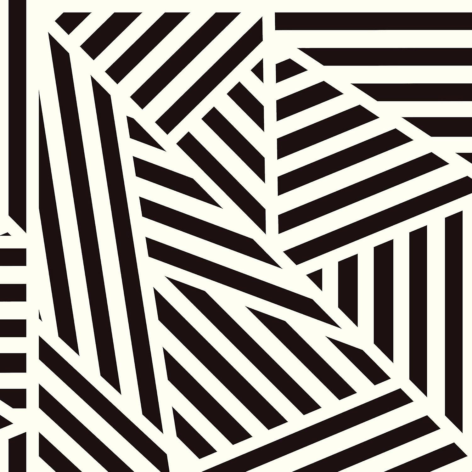 Arthouse Zebra Stripe Geometric Wallpaper