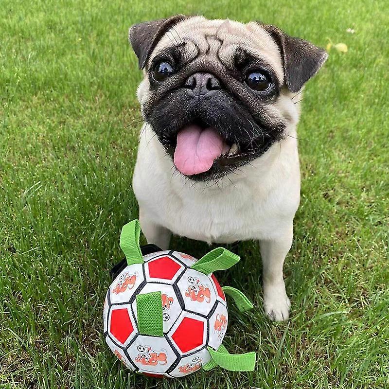 Dog Football with Straps,Interactive Dog Toys for Tug of War, Puppy Birthday Gifts, Dog Water Toy, Durable Dog Balls for Small & Medium Breeds Play Ou