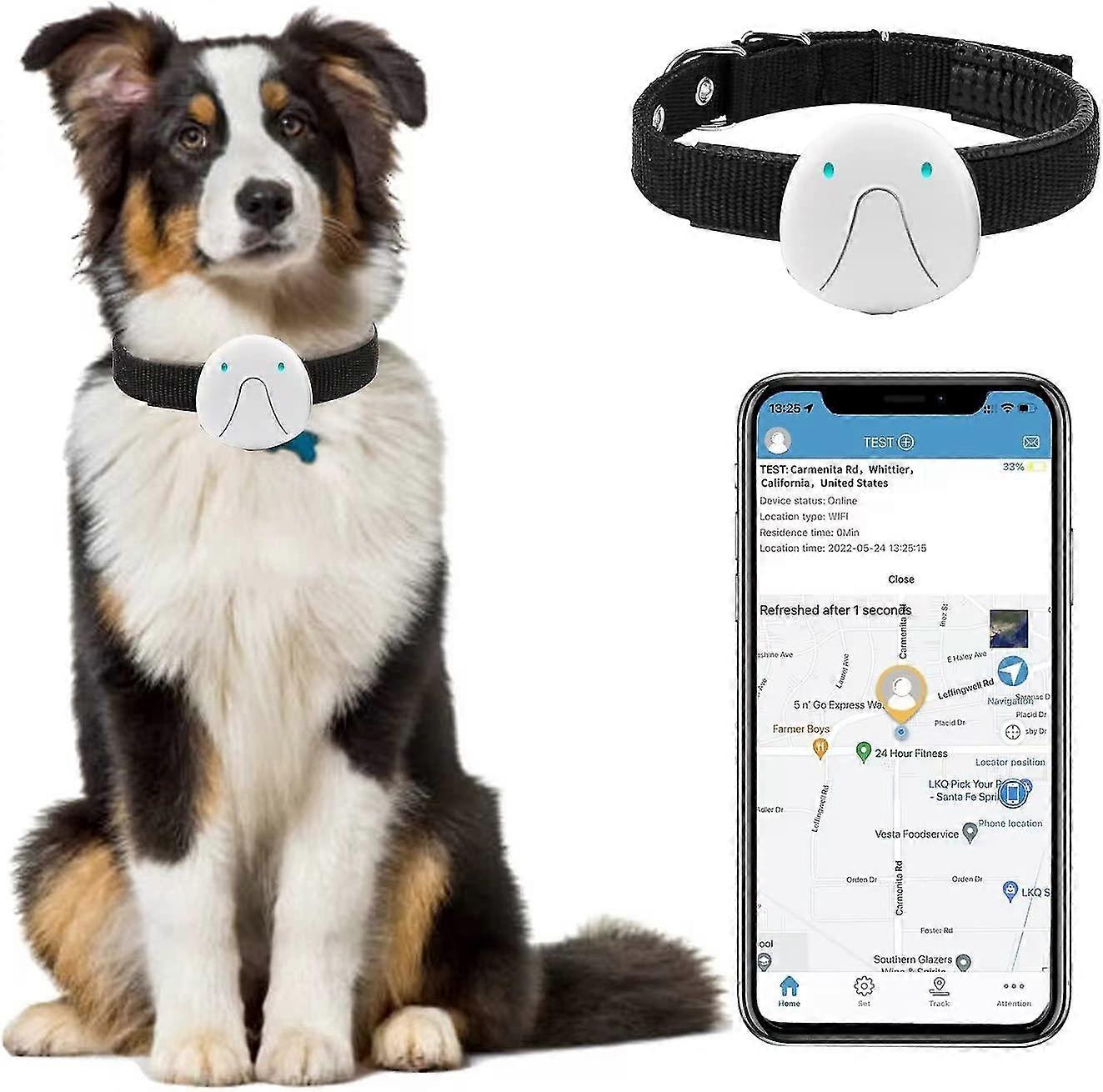 -pet Gps Tracker For Dogs, Trac Dog Collar Ce, Gps Activity Mon For Cats, Un Ran Tracker For Dogs, Gps Locator F