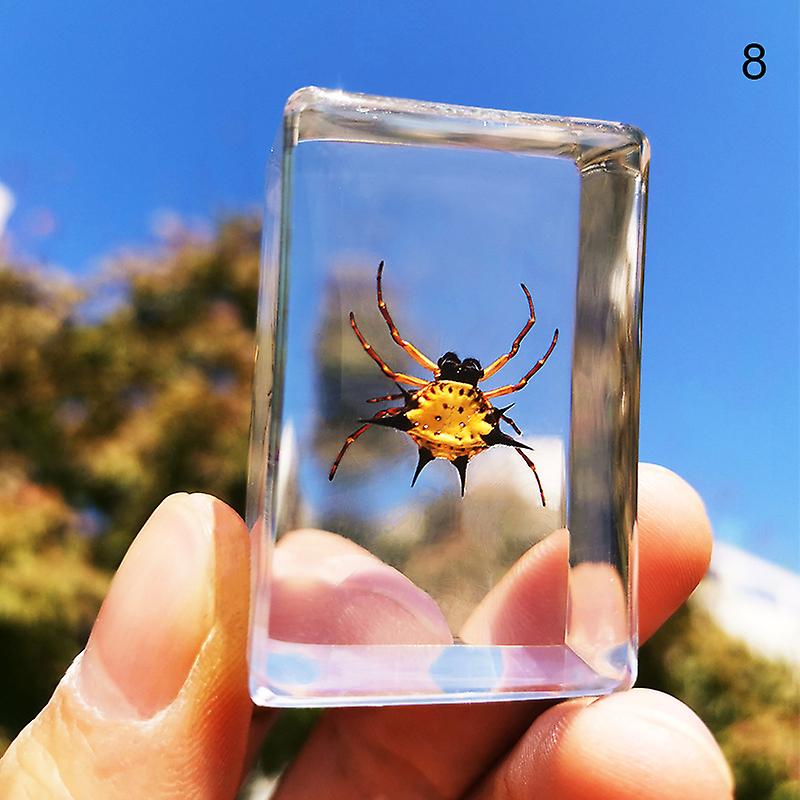 Beautiful Insect In Resin Animal Collection Paperweight
