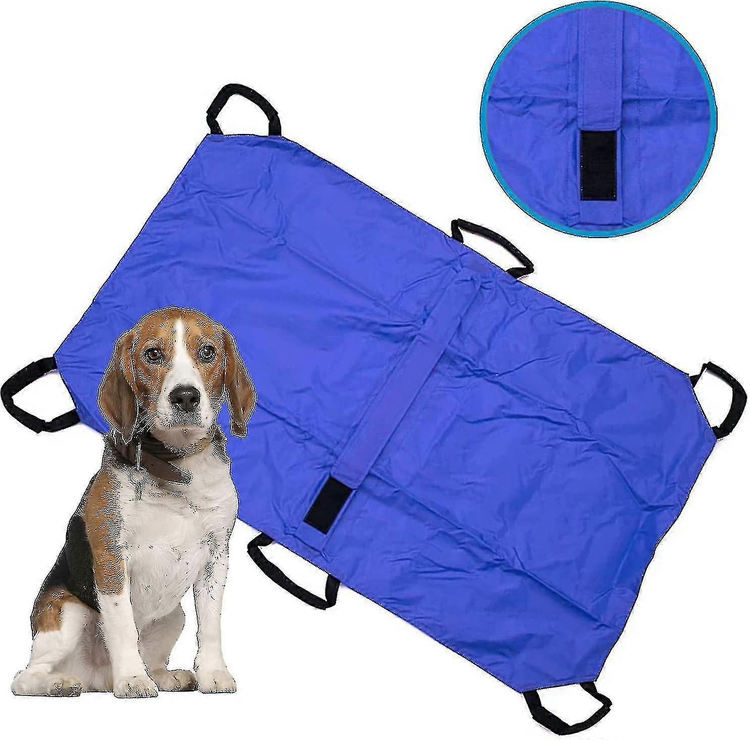 Φορείο μεταφοράς για σκύλους | Κλουβί μεταφοράς ζώων έκτακτης ανάγκης με ιμάντα ασφαλείας | Όριο βάρους 250 λιβρών | Μέγεθος φορείου κατοικίδιων ζώων: 47 L X 29 W ίντσες