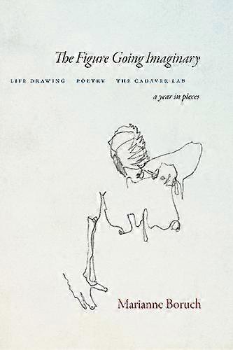 The Figure Going Imaginary by Marianne Boruch Paperback