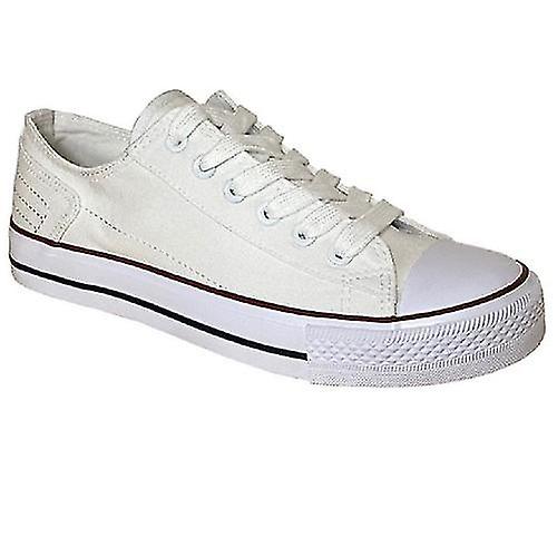 Dek Womens/Ladies Canvas Trainer Shoe