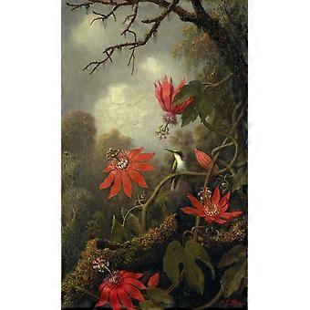 Hummingbird Puzzle 1000 Pieces - Hummingbird and Passion Flowers in Rocky Mountain, Wooden Painting Jigsaw Puzzle, Poster Reference, Beautiful Nature 
