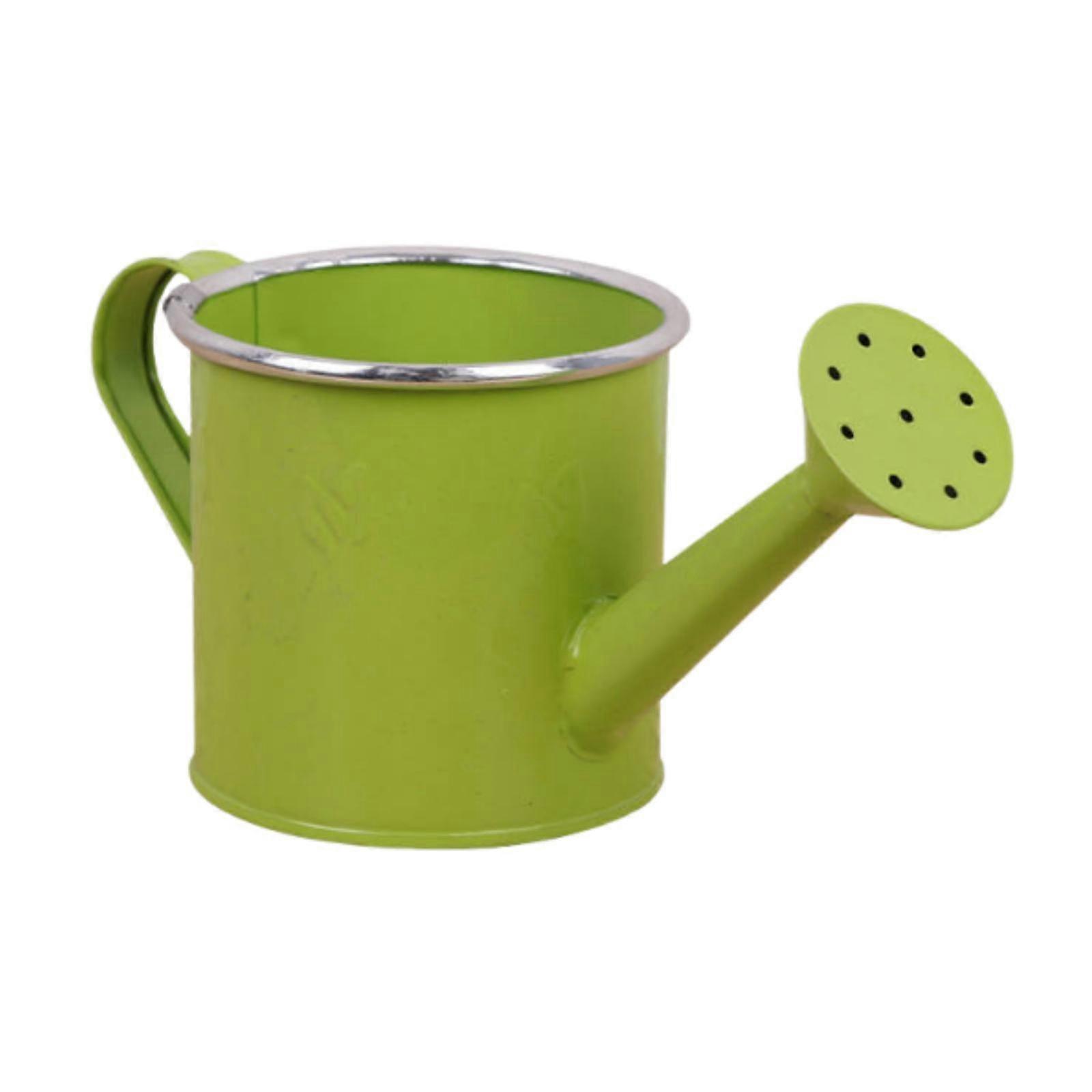 Small Watering with Sprinkler Head Multipurpose Large Capacity Practical