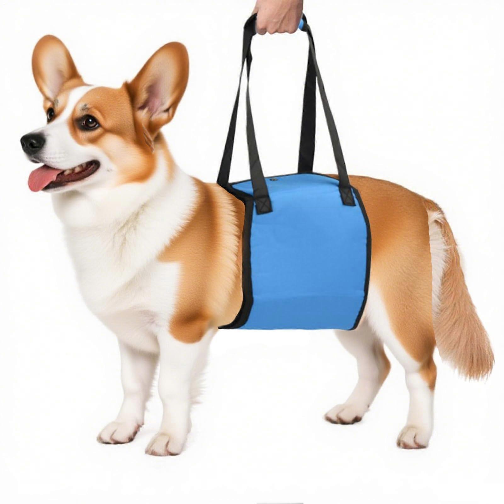 Soft padded dog lifting harness – assistive belt for outdoor walks and relaxation
