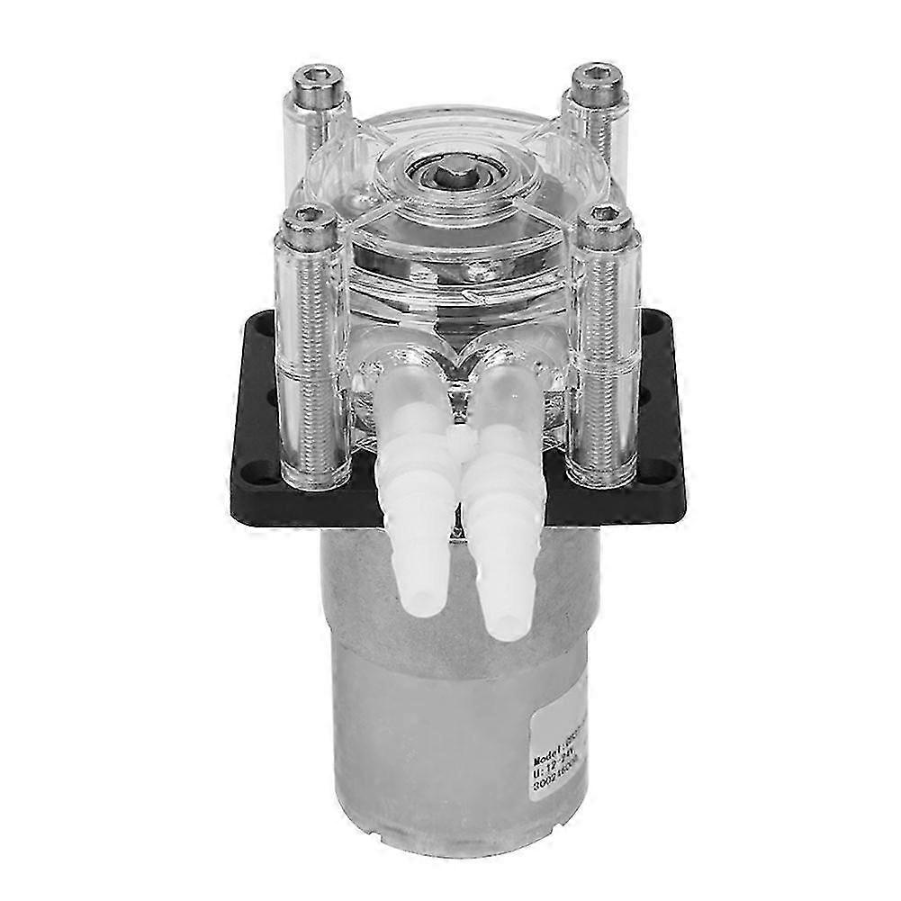 Large Flow Peristaltic Pump Dosing Vacuum Strong Suction Pump+ DC 24v Motor 2025