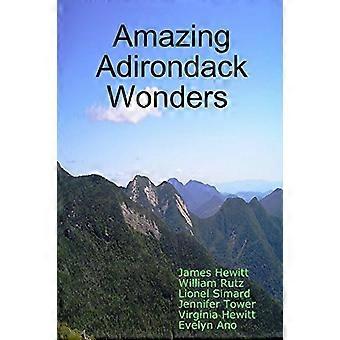 Erstaunliche Adirondack-Wunder