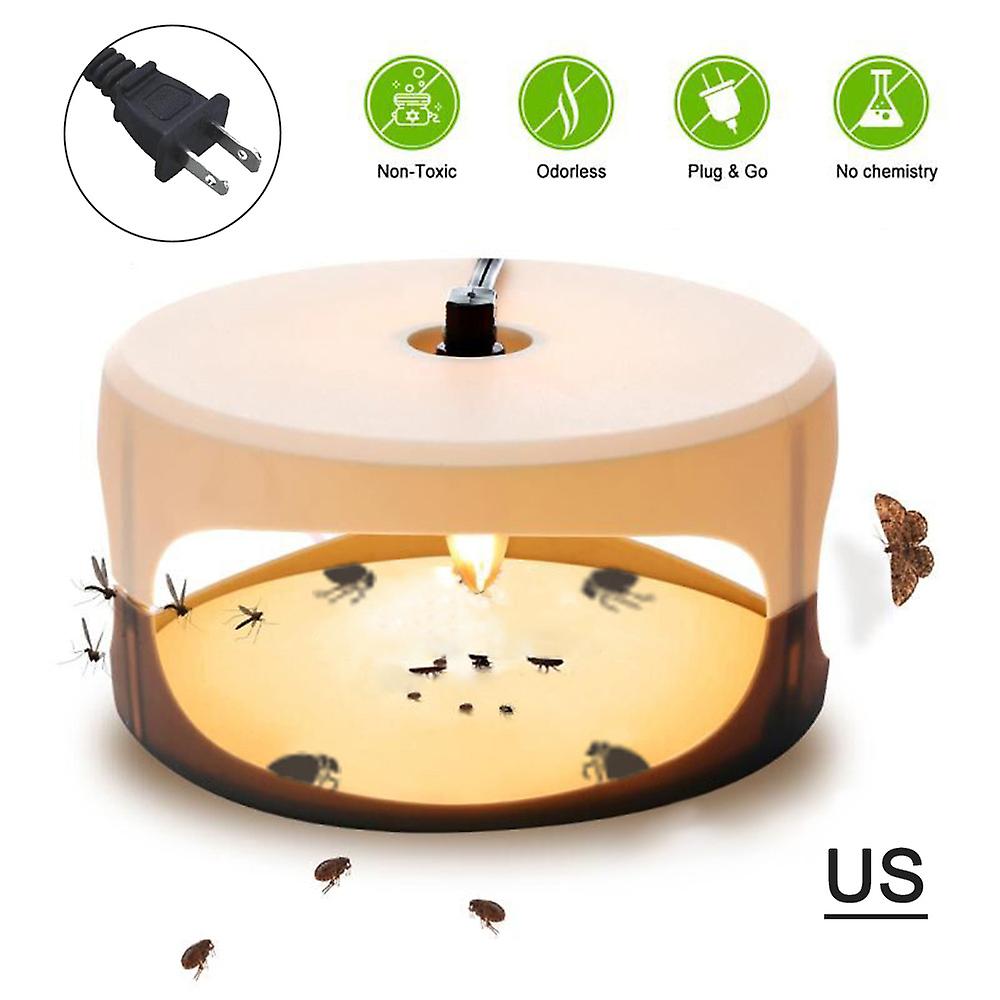 Sticky Flea Trap Dome Flea Bed Bug Trap With 2 Glue Discs