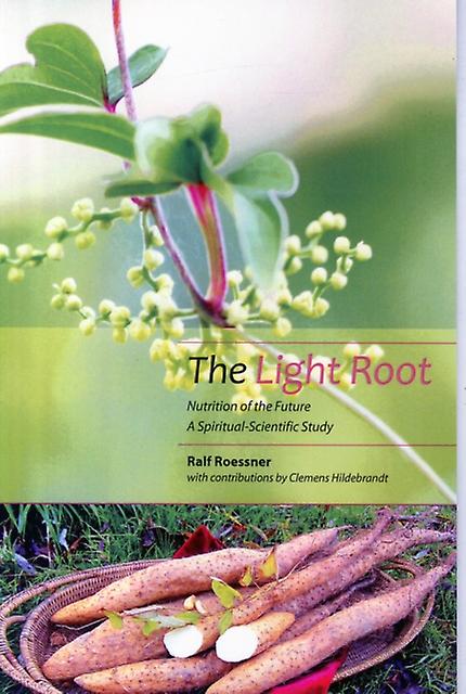 The Light Root by Clemens Hildebrandt Paperback