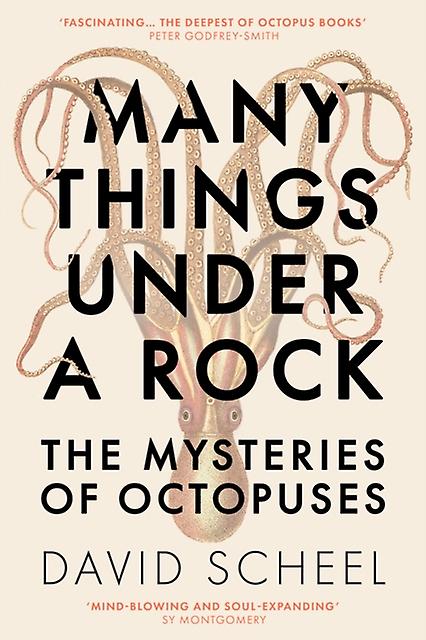 Many Things Under A Rock - David Scheel - Popular science - Hodder & Stoughton - Hardback