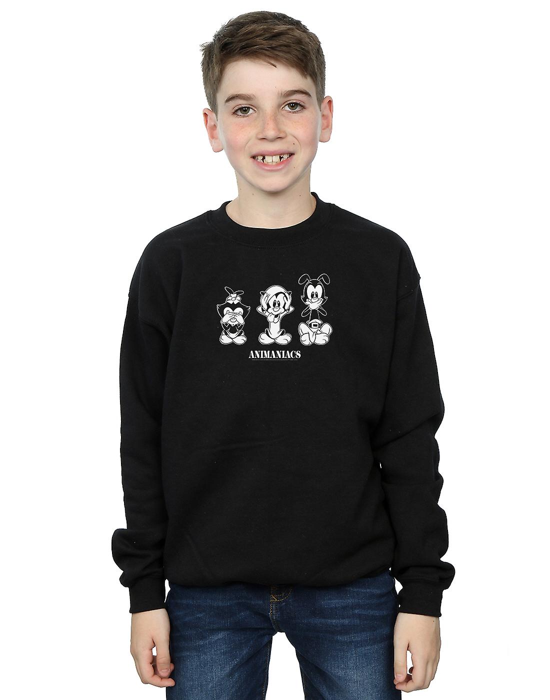 Animaniacs Boys Three Evils Sudadera