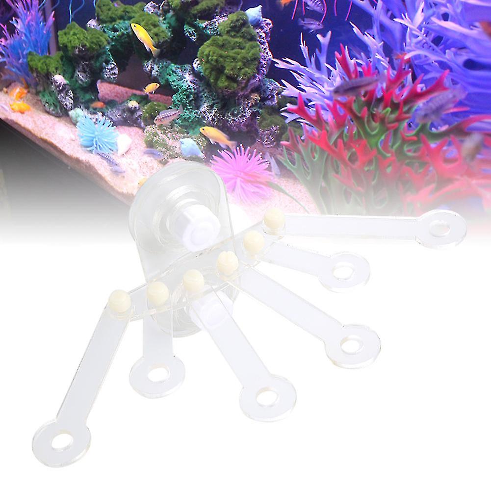 Acrylic Aquarium Stand Holder with Suction Cups