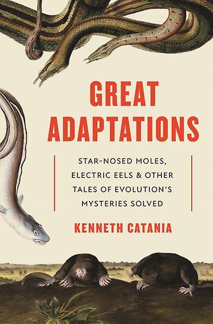 Great Adaptations - Kenneth Catania - Paperback - English Book - Evolution