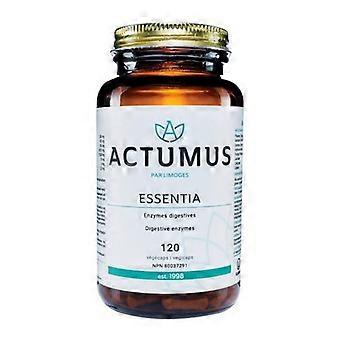 Essentia Verdauungsenzyme, 120 VegCaps von Actumus