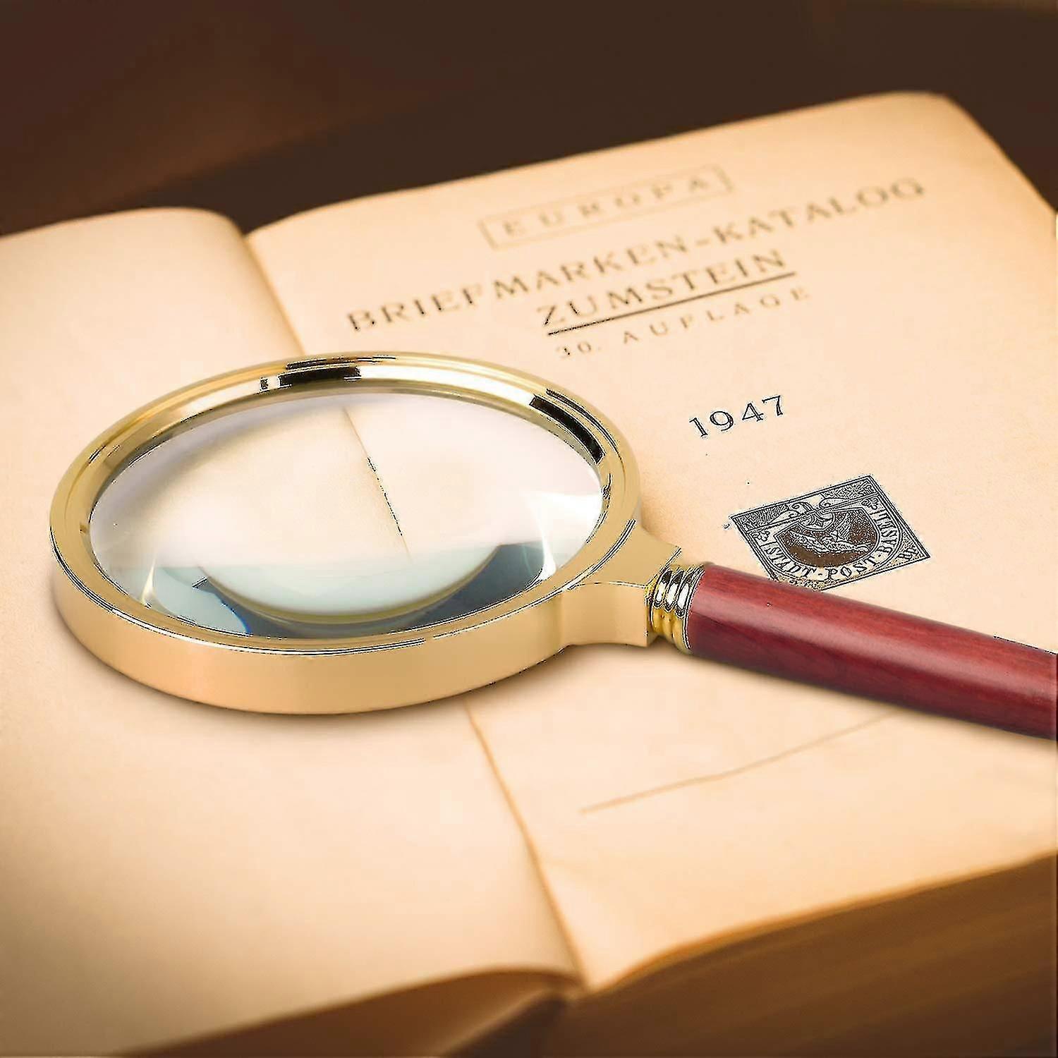 10x Handheld Magnifier, 80mm Diameter Reading Magnifying Glass, Mental