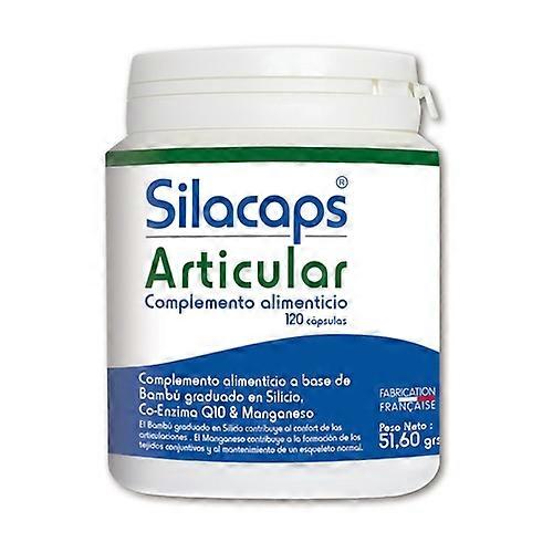 Articular Silacaps 120 capsules of 430mg