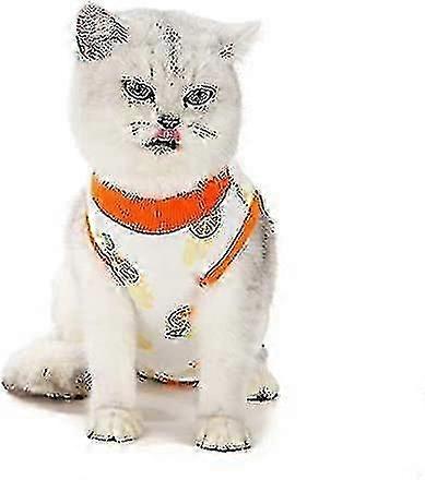 Christmas Cats Resume To Take Weaning Clothes After Surgery