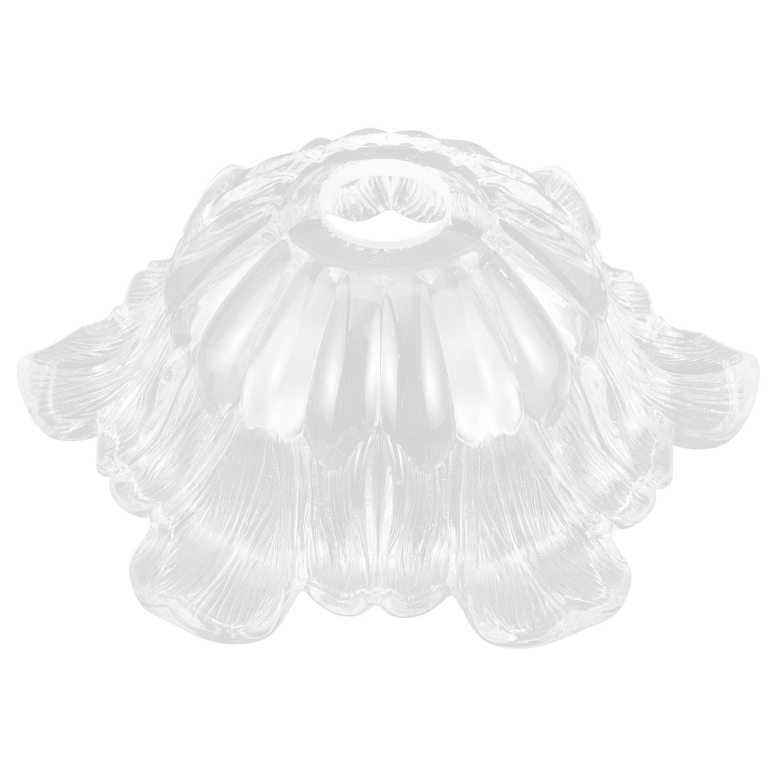Glass Lamp Cover Ornament for Pendant Lighting 2Pcs Included