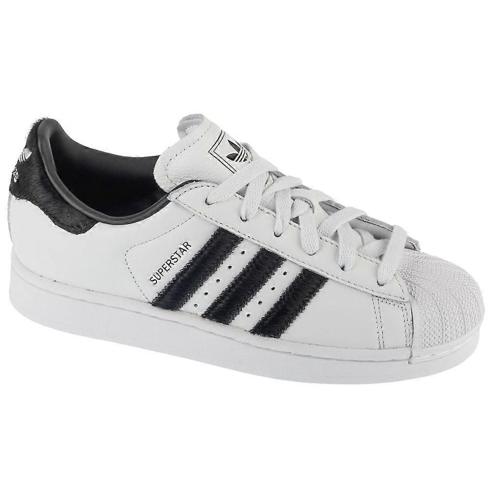 Sunglasses Adidas Superstar JH7052