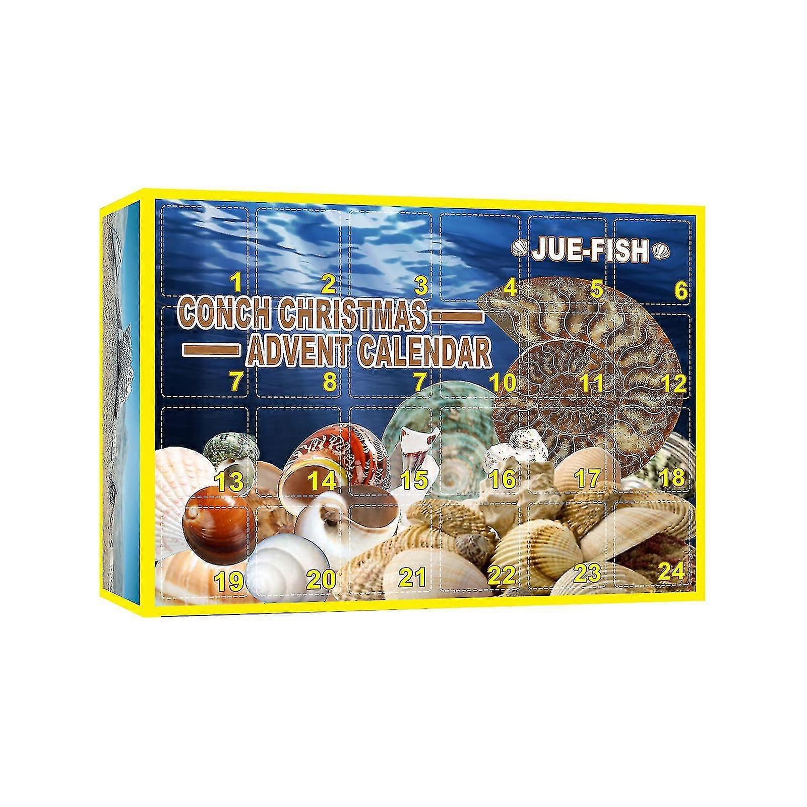 Conch Gifts Box 24  Christmas Countdown Calendar Toys Shells Collections Present For C @BUGU