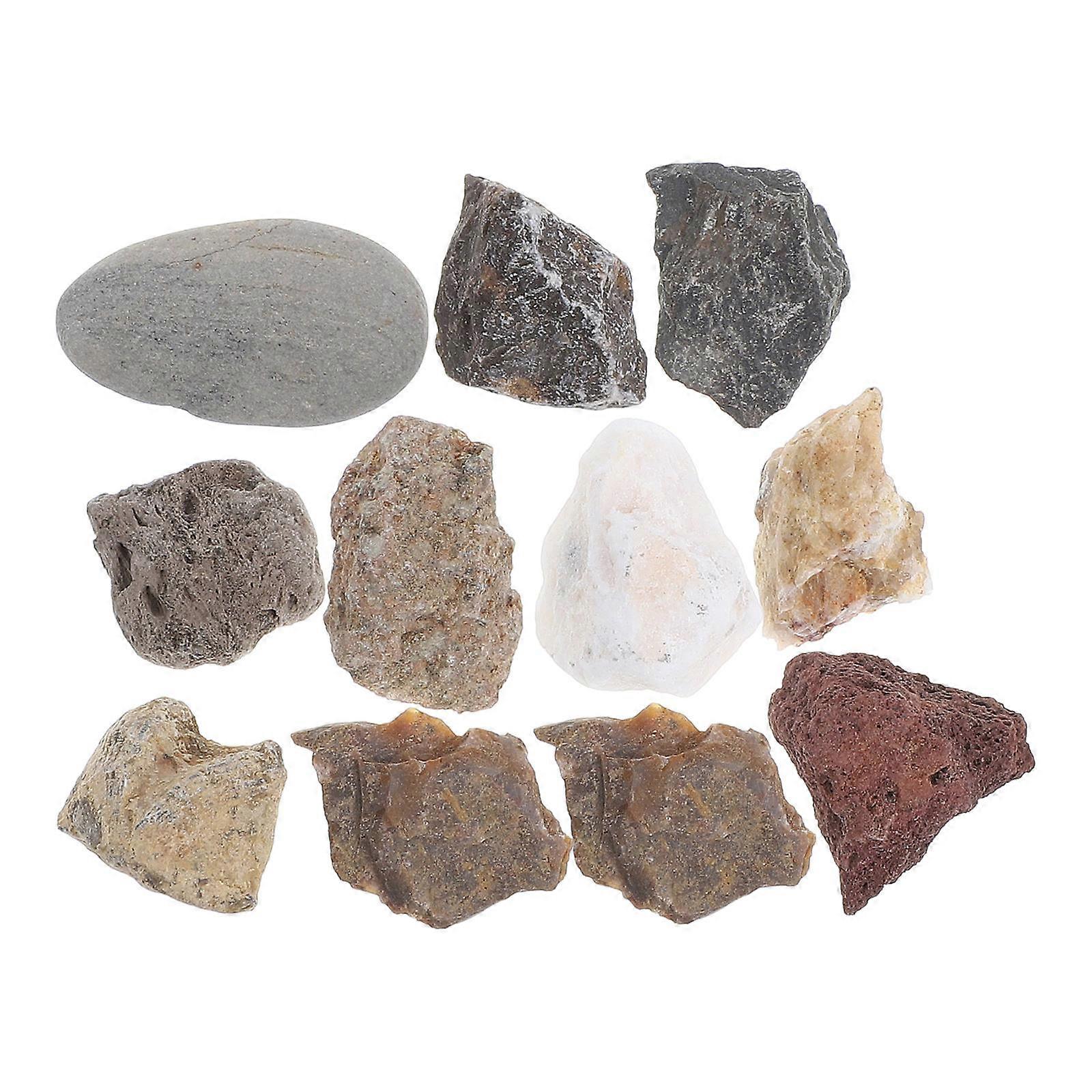 Rock and Mineral Collection Science Specimen for Teaching 1Set Classroom Tool