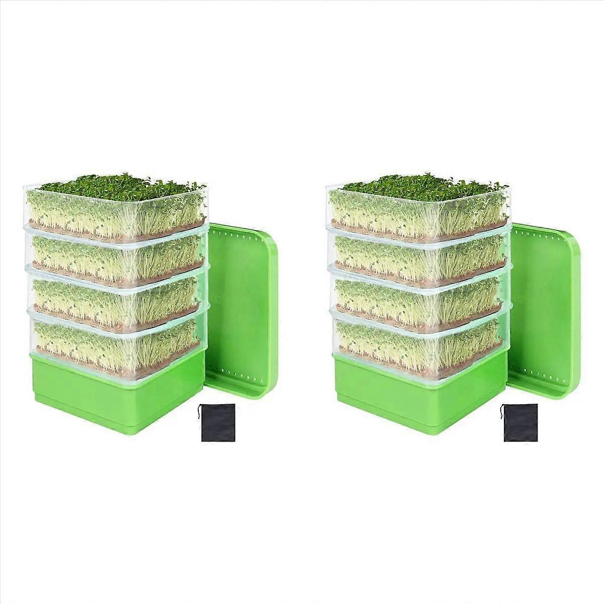 Bean Seed Germination Kit, Microgreen Tray