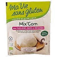 Mix 'gom Bio 60 g