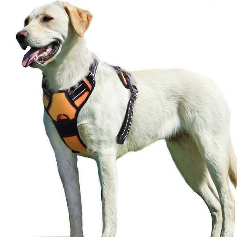 Dog Leash - TD - Adjustable - Black and Yellow - No Pull - Comfortable