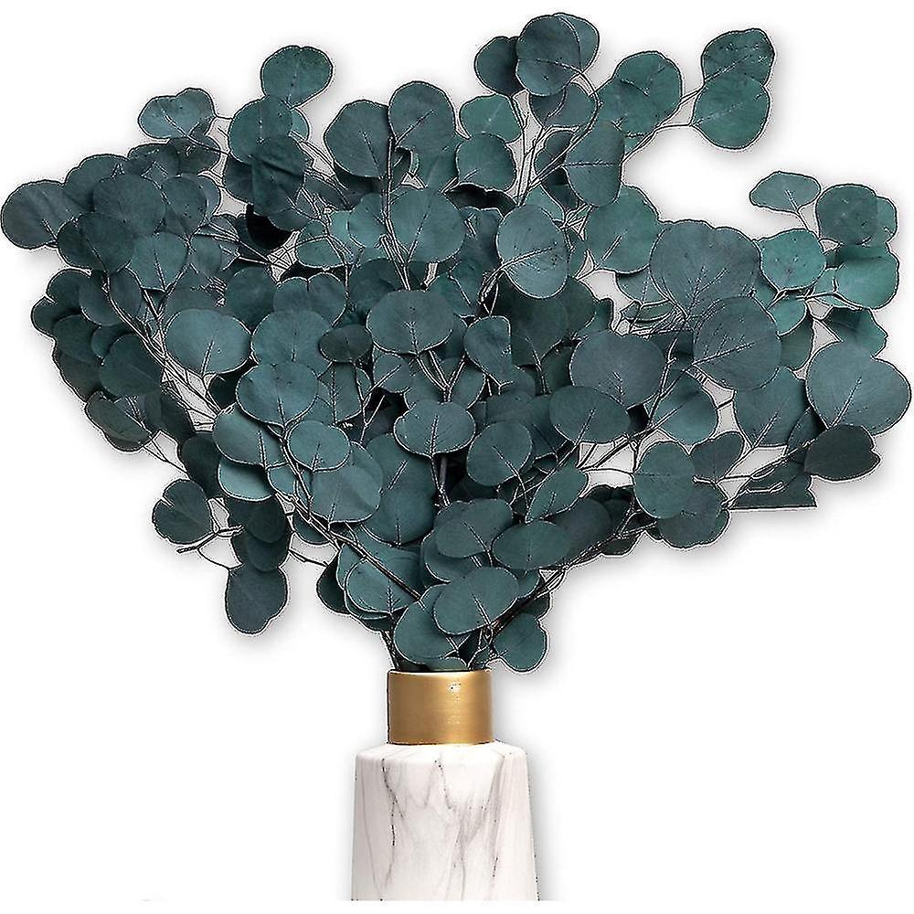 Fleurs séchées Eucalyptus séché éternel pour fleurs séchées décor fleurs séchées et fleurs séchées eucales