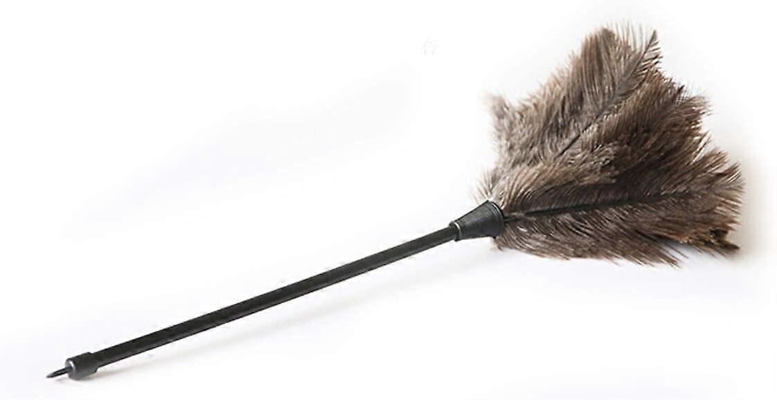 Linkrunning Lo spolverino in piume di struzzo attira le particelle di polvere, 34 cm con il manico in plastica