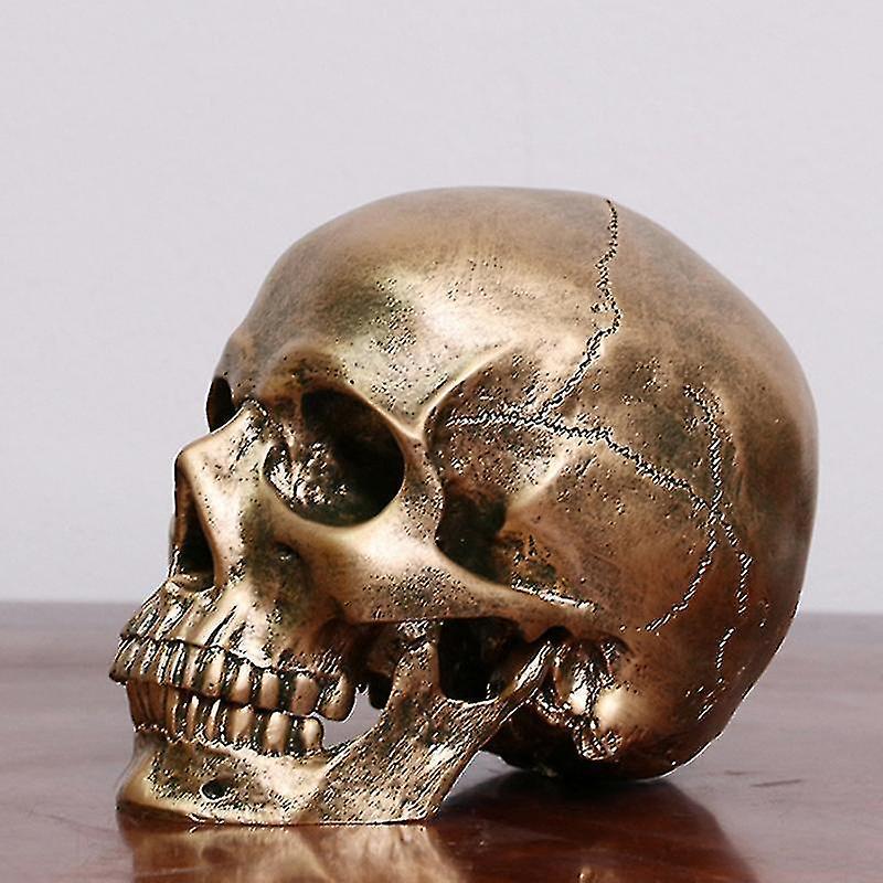 人間のブロンズ樹脂頭蓋骨モデル医療ハロウィーンリアルな1:1彫像の装飾