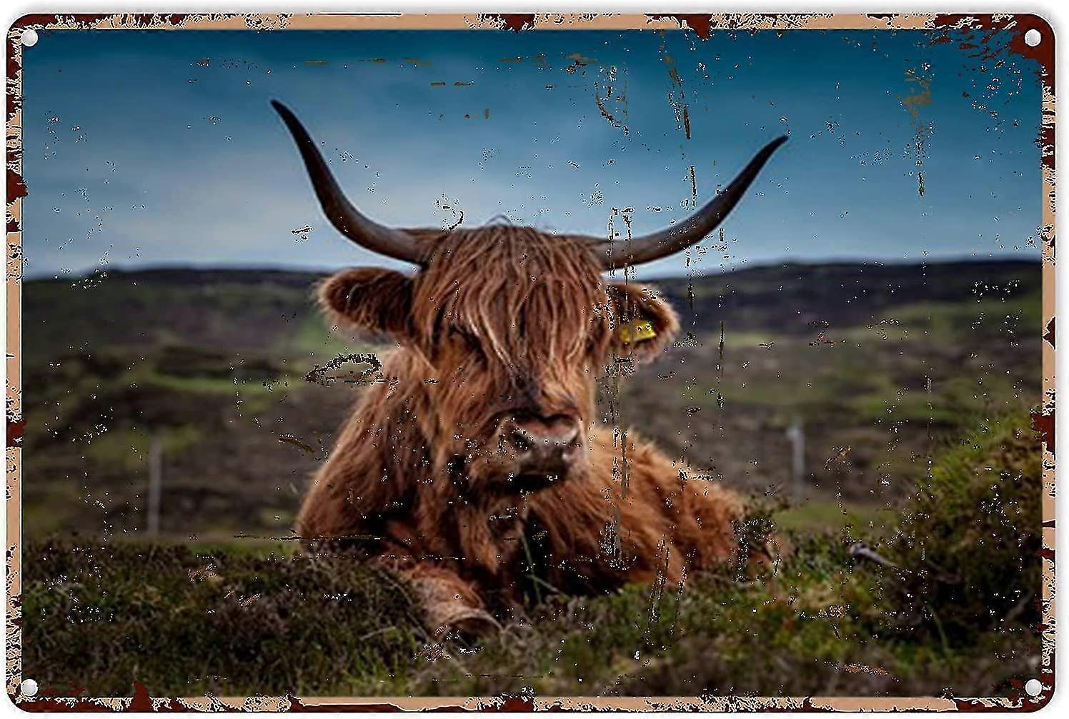 Imagem do Banheiro Highland Cow Placa de Lata de Decoração de Casa Rústica Highland Cow 8x12 Polegadas OU 12x16 Polegadas Modo