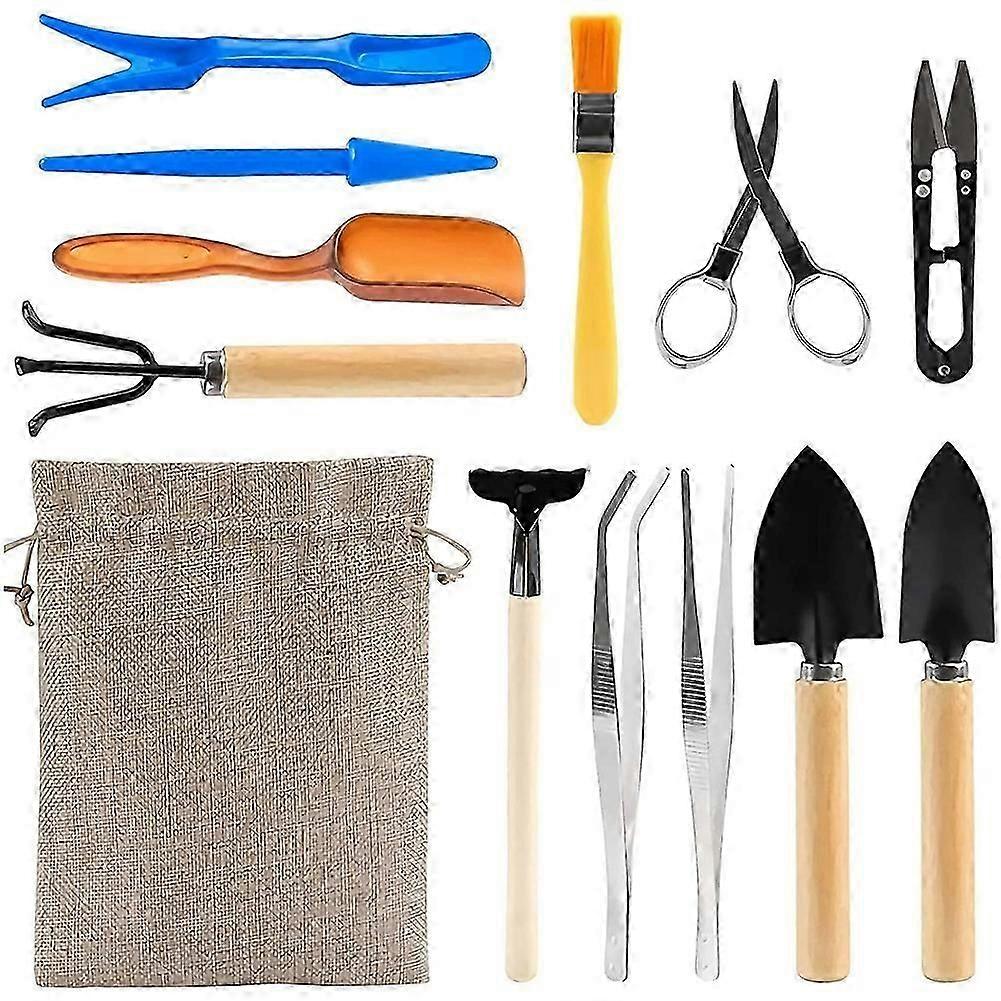 12 Pieces Bonsai Tools Set Succulent Mini Garden Hand Tools Includes Pruning Shears, Mini Rake, Fol